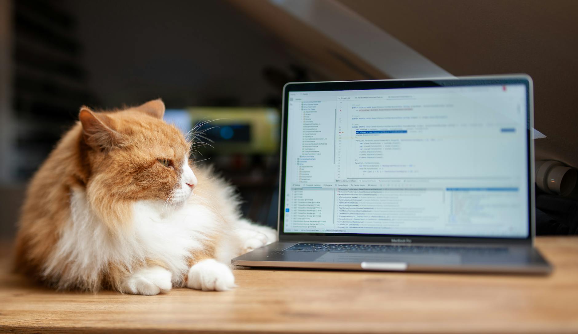 Avocat et développeur : pourquoi j&rsquo;ai appris à coder