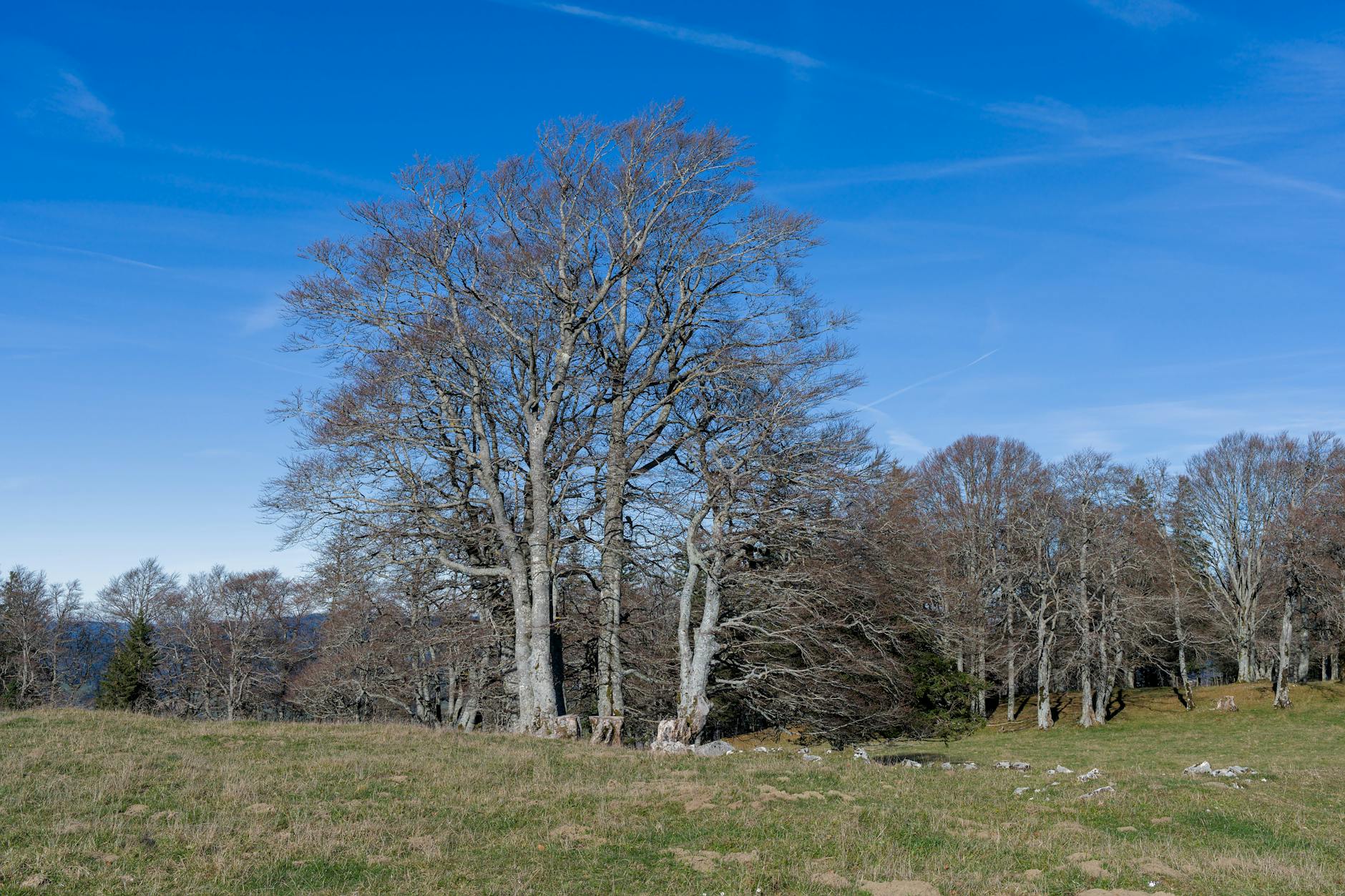Checklist : les 15 documents à avoir en cas de contrôle AT/MP