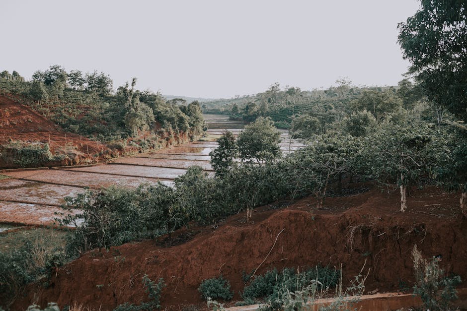 Exonérations de cotisations en ZRR, ZFRR et ZFU : conditions et plafonds en 2025