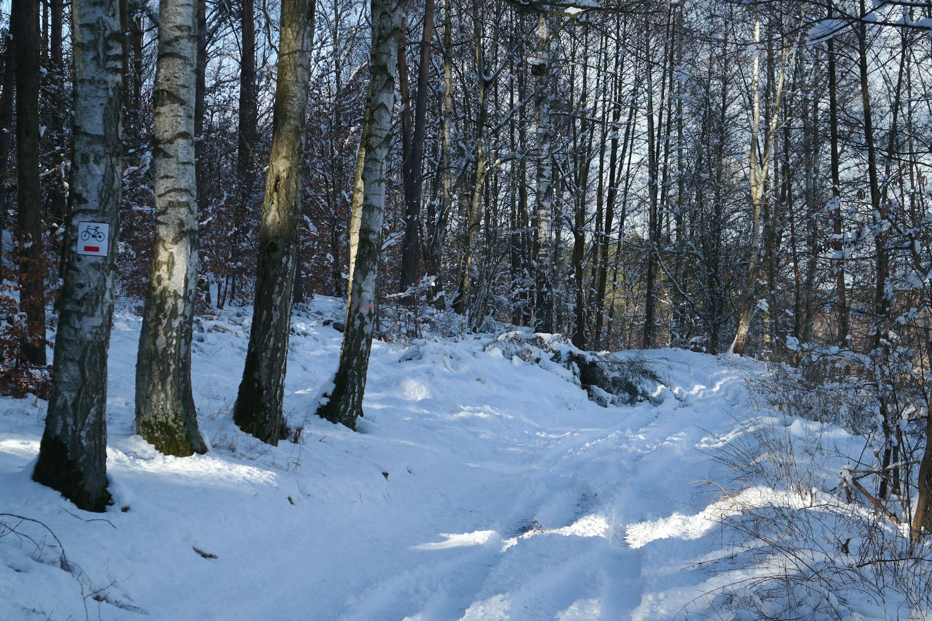 FAQ : les 20 questions les plus fréquentes sur les AT/MP