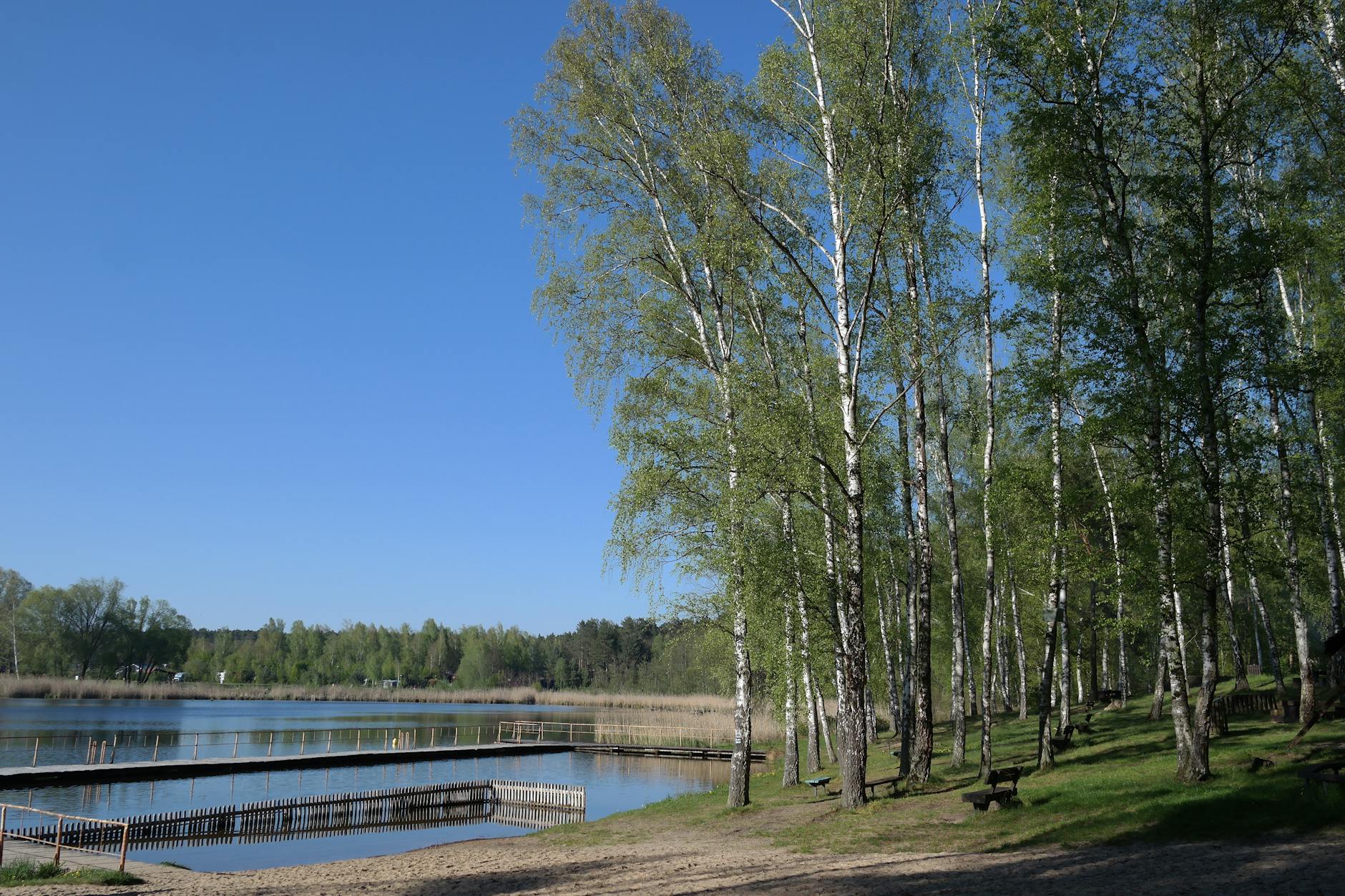 Fiche réflexe : recevoir une notification de faute inexcusable