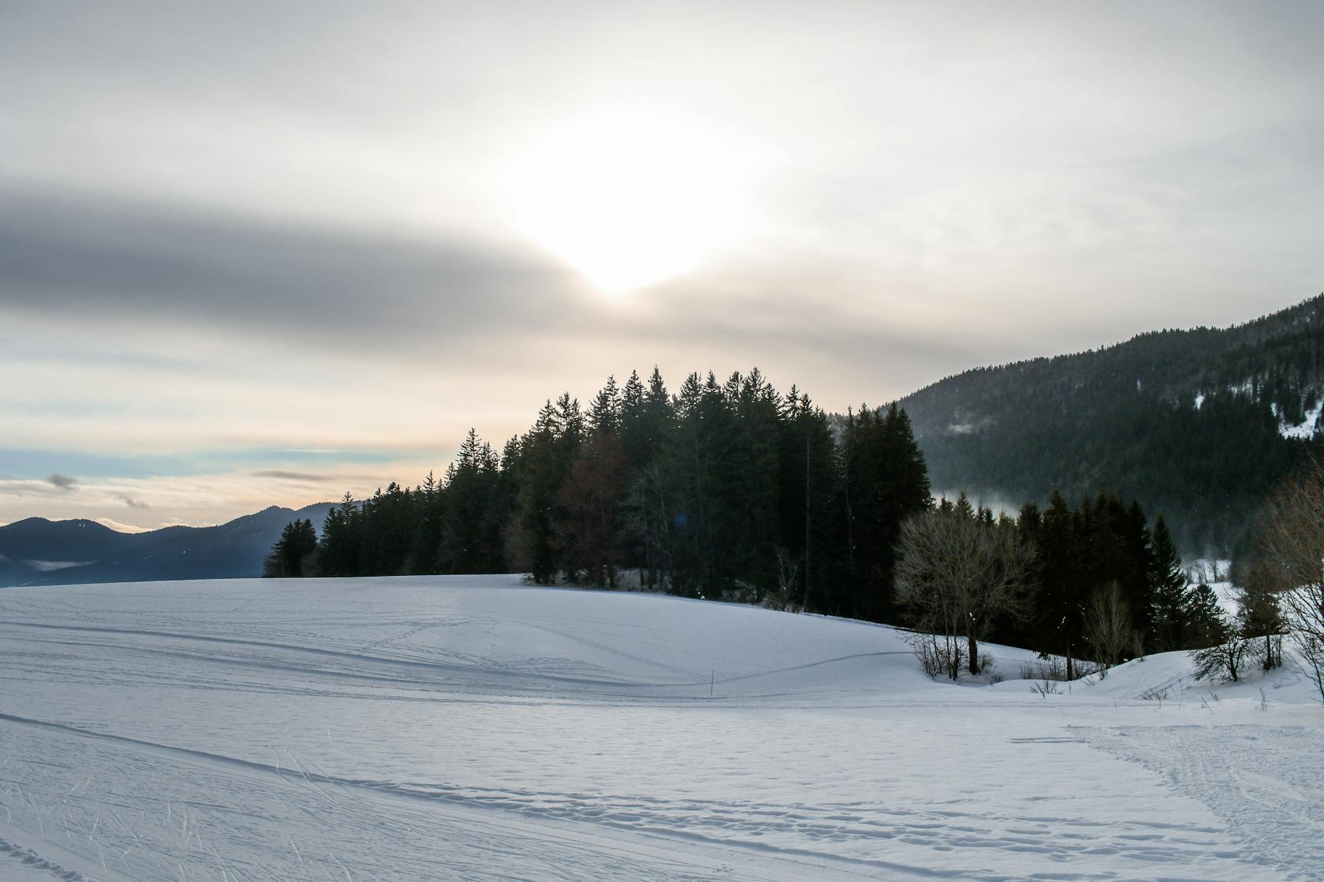 Lanceurs d&rsquo;alerte en entreprise : protection renforcée par la loi Waserman 2022