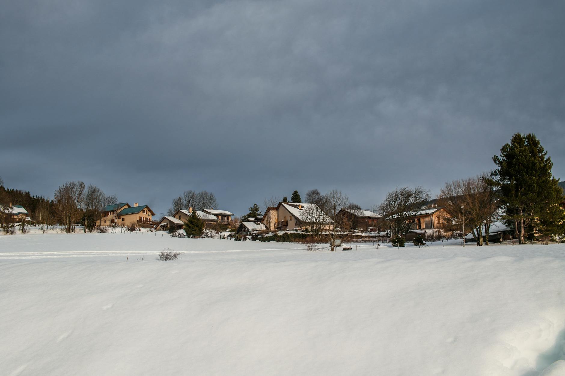 Licenciement pour vol en entreprise : preuve et procédure