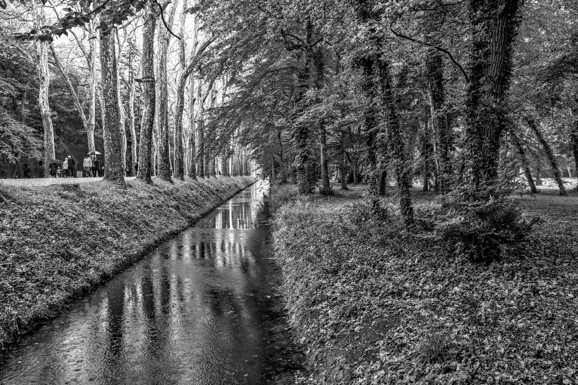 Prise d&rsquo;acte de la rupture du contrat de travail : définition et effets