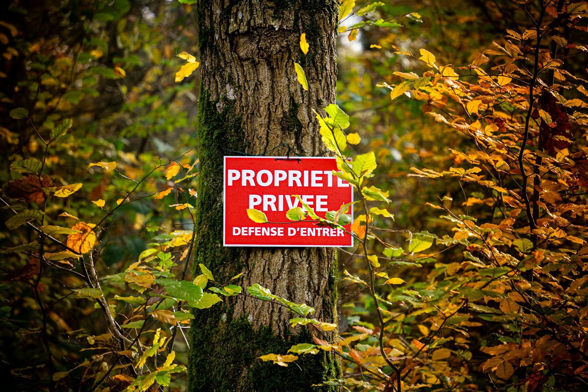 Travail dissimulé : risques et sanctions pour l&#8217;employeur